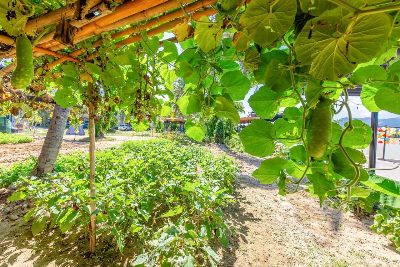 Oyo 426 Klaus Resort Nha Trang Zewnętrze zdjęcie